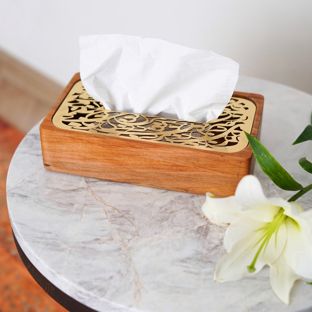 Tissue box holder